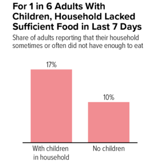 Hunger and Food Insecurity Are Not the Same. (Simran Sethi, The Counter)